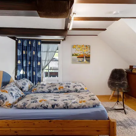 Schwarzwaldcasa Casa vacanze Todtmoos